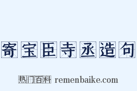 寄宝臣寺丞造句是什么意思的图片